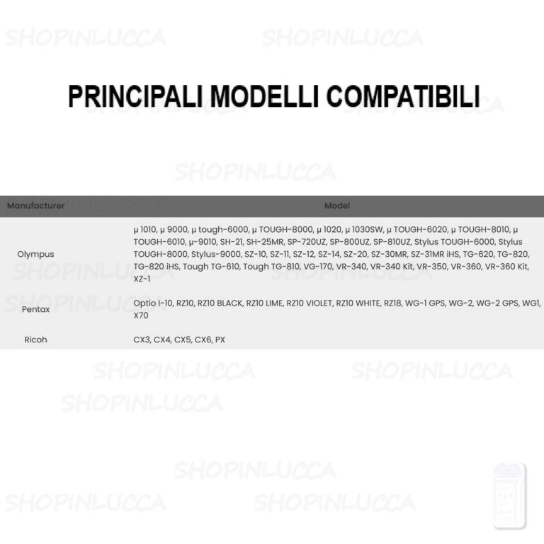 Batteria Ricaricabile CamPro EVB008 sostituisce OLYMPUS LI-50B PENTAX D-LI92 RICOH DB-100 PANASONIC VW-VBX090 CASIO NP-150 - immagine 4